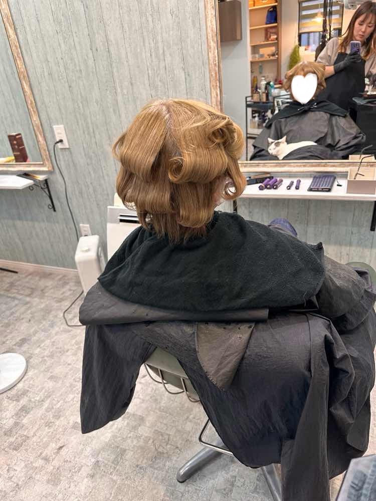 山口市　ストカール