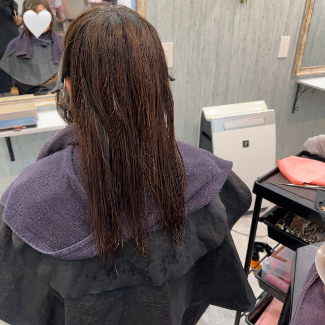 山口市　ストカール