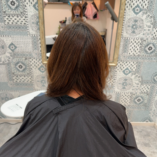 山口市　ストカール