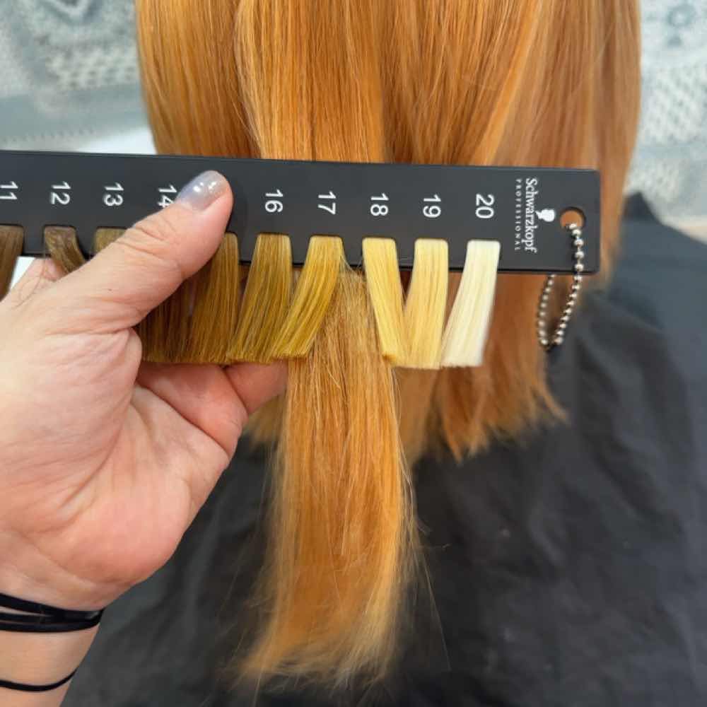 山口市　ミルクティ系