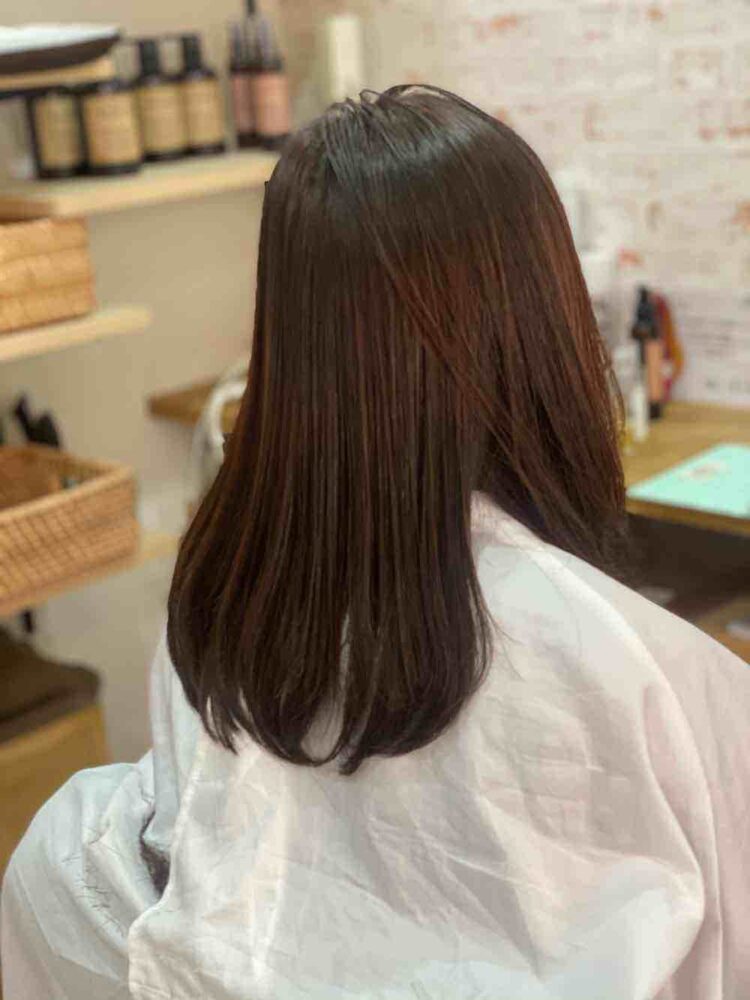 山口市ストカール