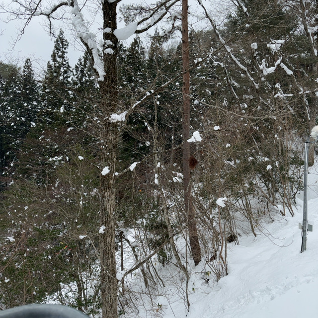 山口市　めがひらスキー場♡