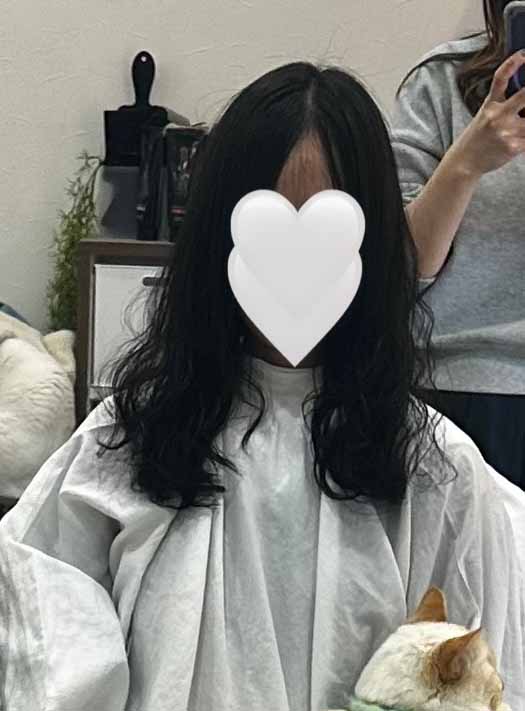 山口市　カット