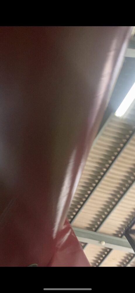 山口市　ポッピンマッシュ！に行ってきました(⌒▽⌒)