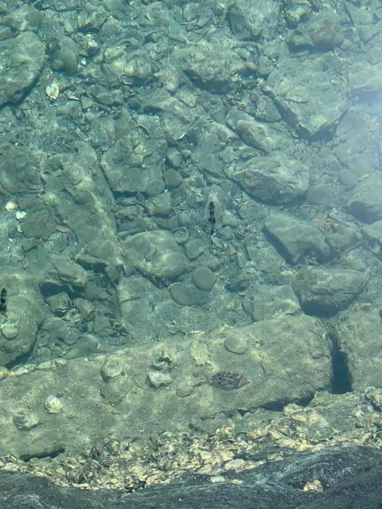 山口市　綺麗すぎる青海島