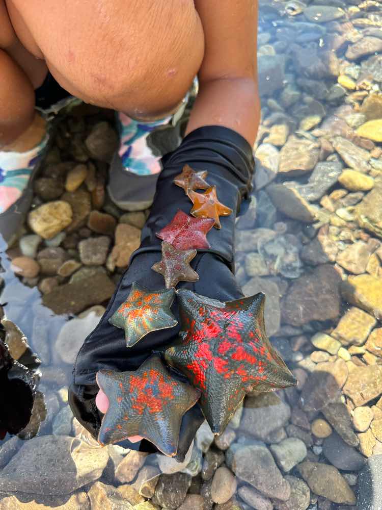 山口市　綺麗すぎる青海島
