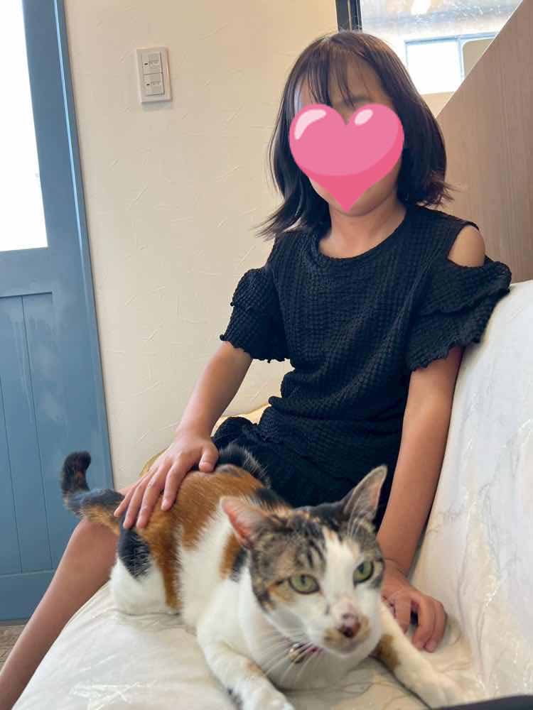 山口市　猫カフェ