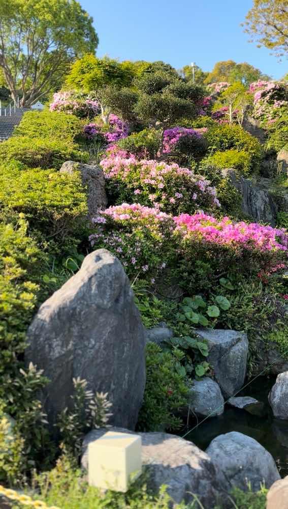 山口市　縮毛矯正