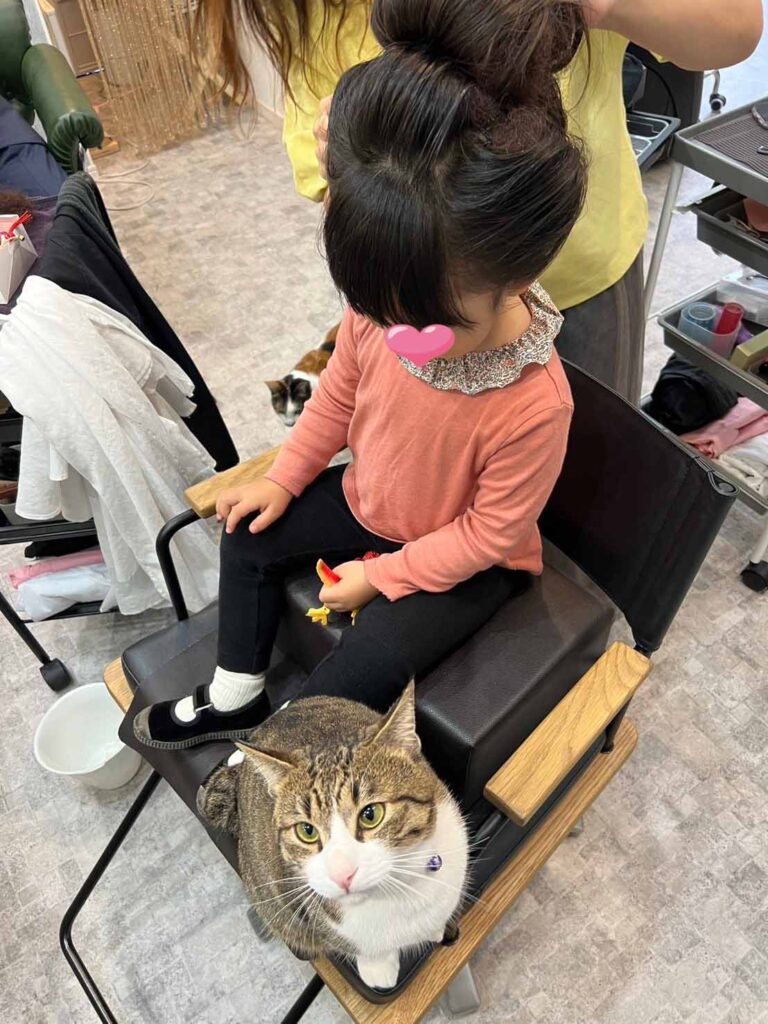 山口市　七五三