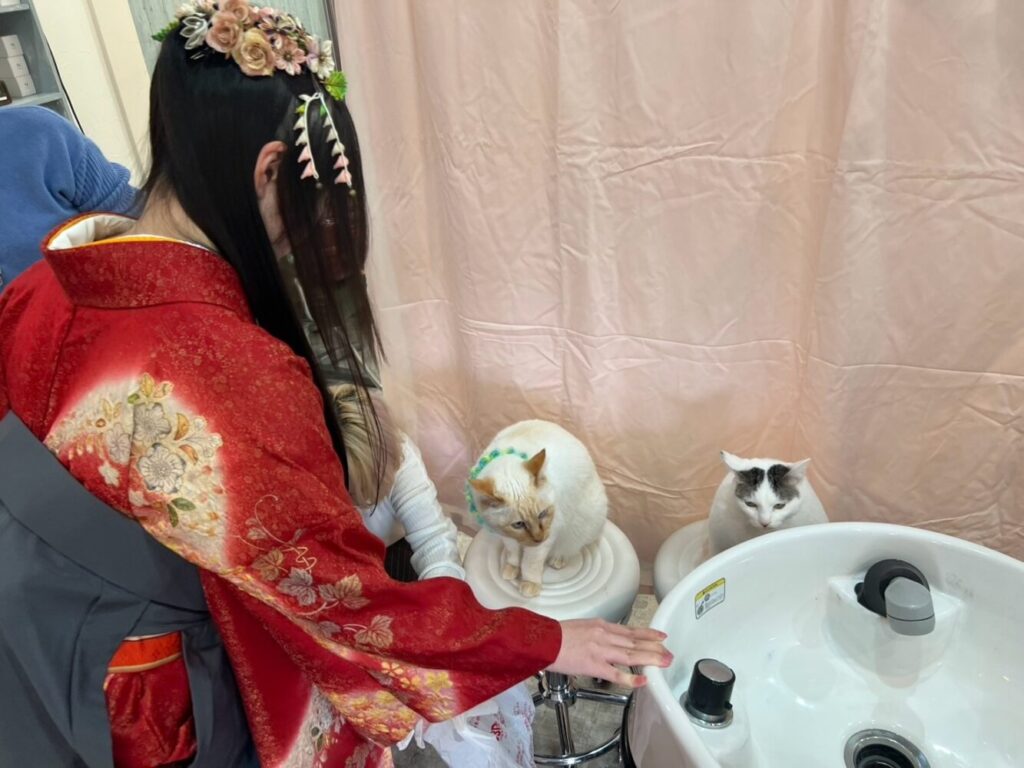 山口市　卒業式