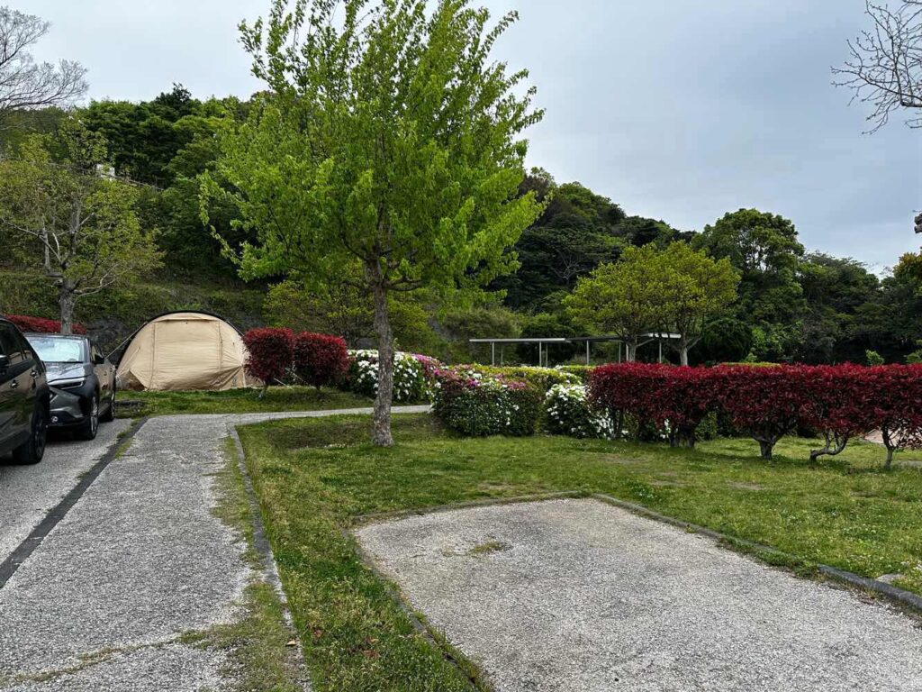 山口市　縮毛矯正