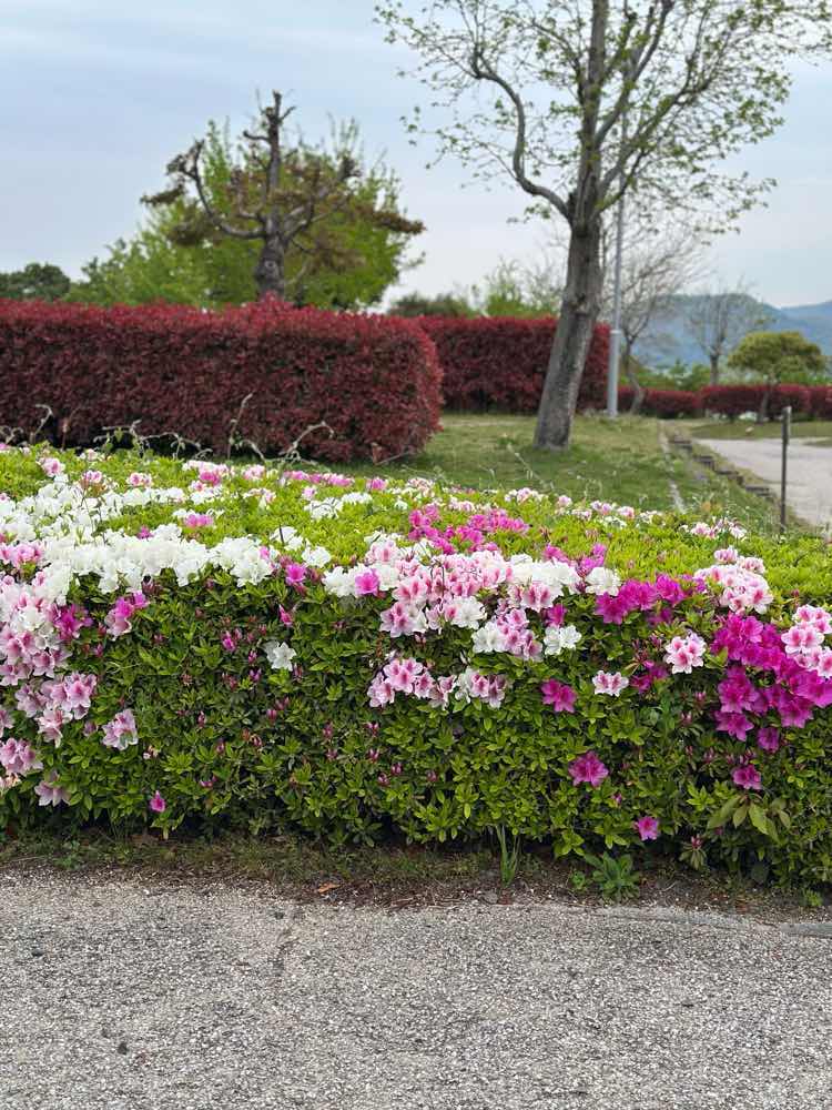 山口市　縮毛矯正